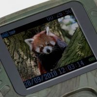 Kompakt vildtkamera 12MP og Full HD Technaxx TX-117