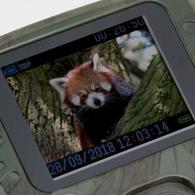 Kompakt vildtkamera 12MP og Full HD Technaxx TX-117