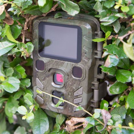 Kompakt vildtkamera 12MP og Full HD Technaxx TX-117