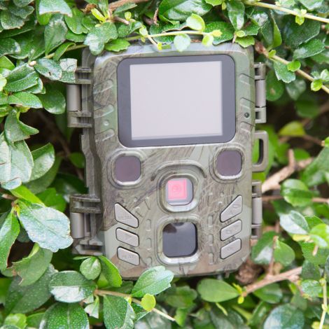 Kompakt vildtkamera 12MP og Full HD Technaxx TX-117