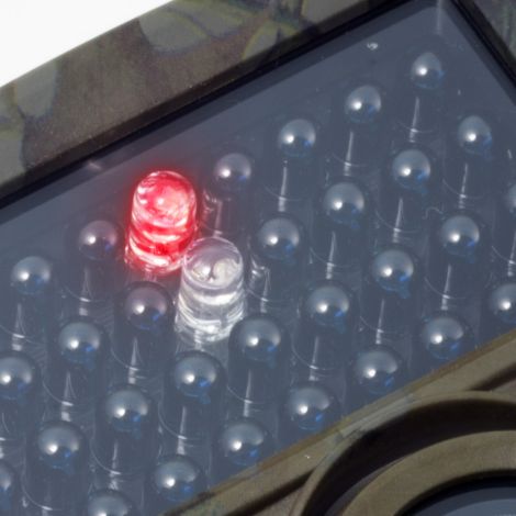 Vildtkamera 12 MP / Full HD video Technaxx TX-69