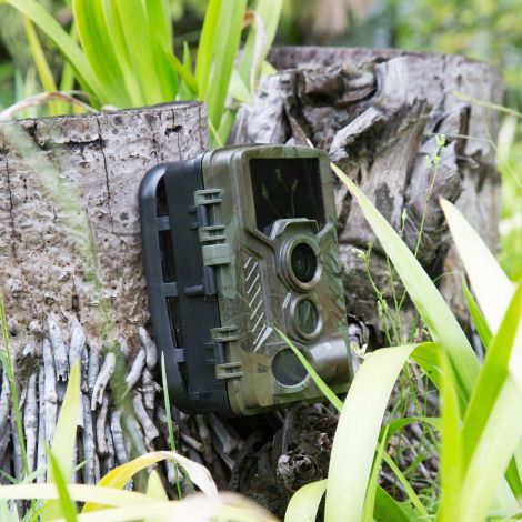 Technaxx TX-125 vildtkamera 21 MP foto og full HD video