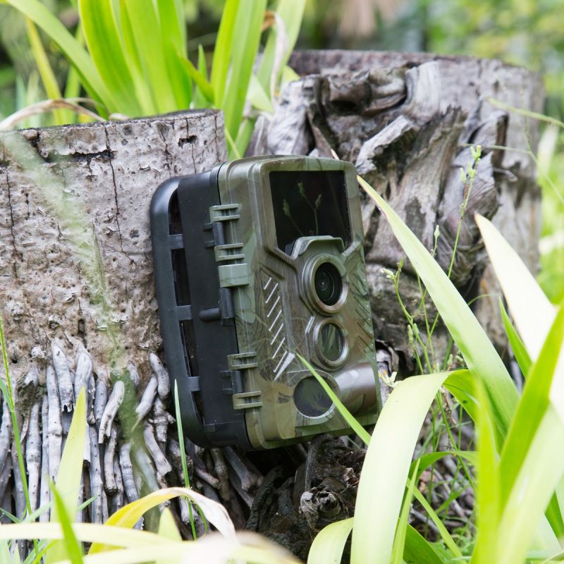 Technaxx TX-125 vildtkamera 21 MP foto og full HD video