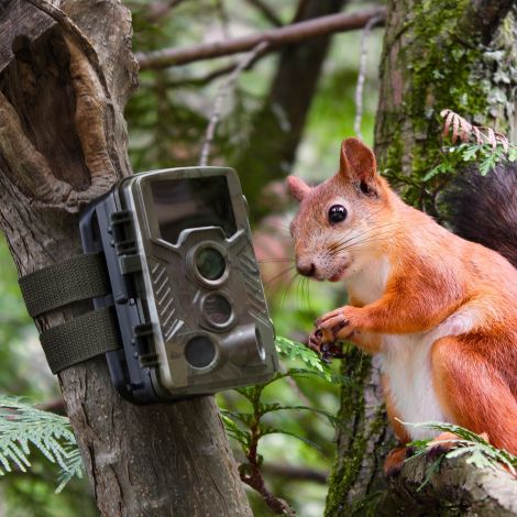 Technaxx TX-125 vildtkamera 21 MP foto og full HD video