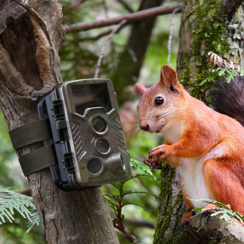 Technaxx TX-125 vildtkamera 21 MP foto og full HD video