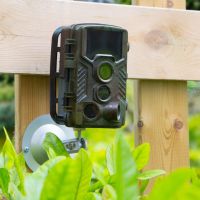 Technaxx TX-125 vildtkamera 21 MP foto og full HD video