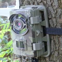 Nightowl D3N vildtkamera testvinder