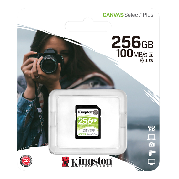 Billede af SD kort 256 GB class 10