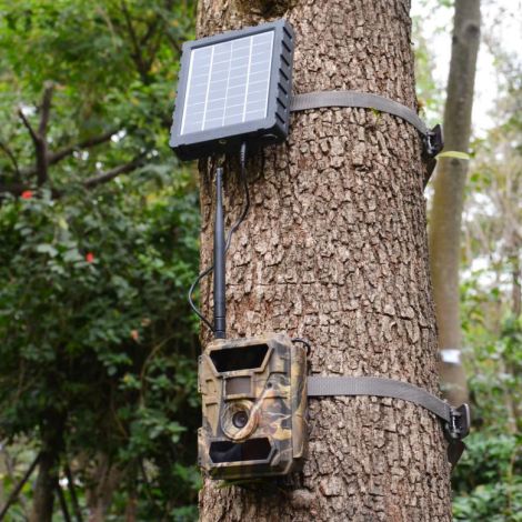 Hunter solcellepanel med lithiumbatteri til vildtkamera