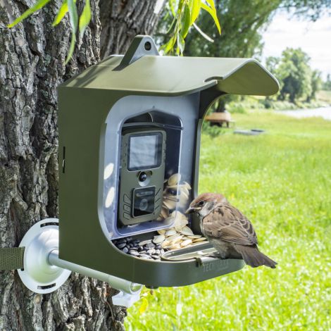 Foderbræt til fugle med vildtkamera Full-HD TX-165