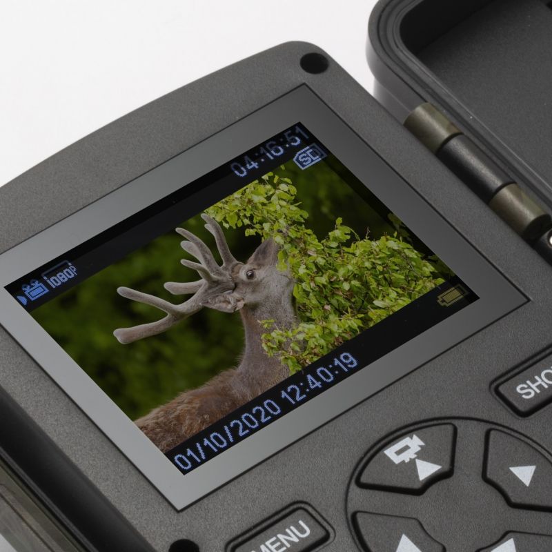 Vildtkamera TX-160 - 20MP - 110 gr. vidvinkel