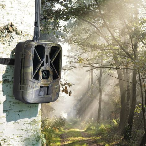 4G LTE live vildtkamera 36 MP PNI Hunting 550C