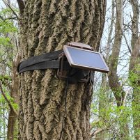 T20WF vildtkamera Wi-Fi-app og 4K video