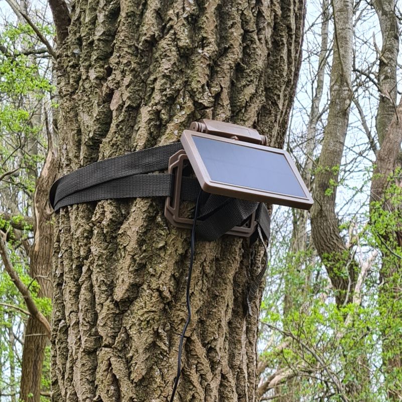 T20WF vildtkamera Wi-Fi-app og 4K video