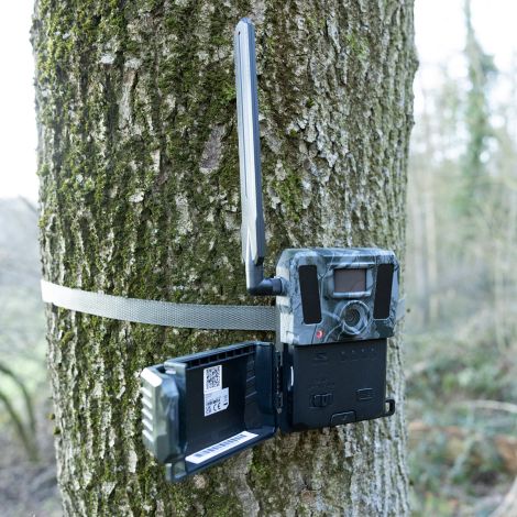 Hikmicro M15 vildtkamera 4G med app inkl. SIM-kort