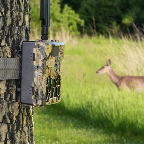 PNI Hunting 480C PRO 4G vildtkamera, 24 MP