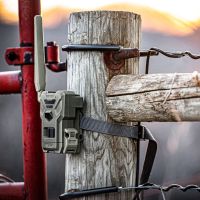 Spypoint Flex-M 4G vildtkamera