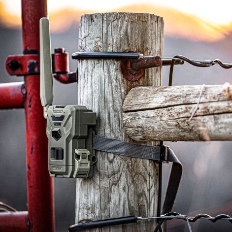 Spypoint Flex-M 4G vildtkamera