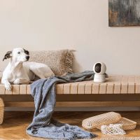 Laxihub P2Q Ultra HD 4MP Wi-fi indendørs kamera med pan og tilt