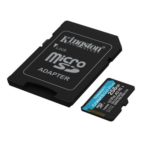 Micro SD kort 256 GB Kingston Canvas Go Plus Gen4