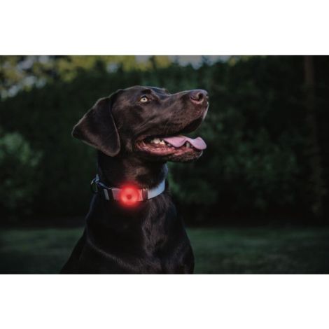 Genopladelig multifunktionel lygte - Coast SL1R