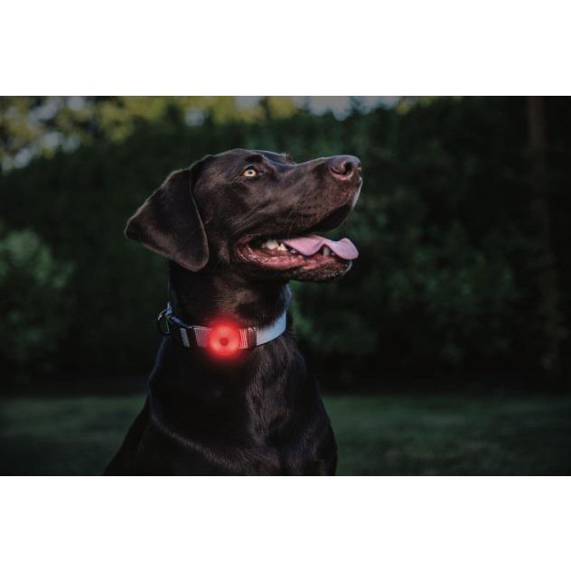 Genopladelig multifunktionel lygte - Coast SL1R