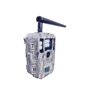 4G vildtkamera med 4K video, 56 MP og farve-natoptagelse