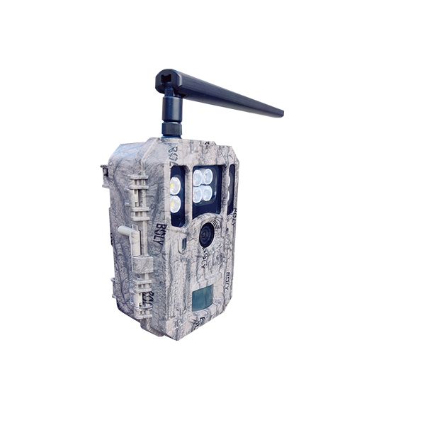 4G vildtkamera med 4K video, 56 MP og farve-natoptagelse