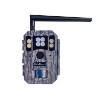 4G vildtkamera med 4K video, 56 MP og farve-natoptagelse