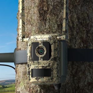 Camovue Talon Pro 4G vildtkamera med live video 4K