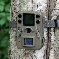 Vildtkamera Bolyguard SG520