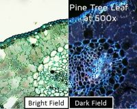 Dino-Lite backlight stage